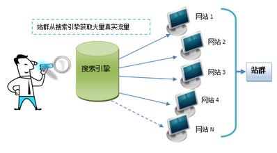 網(wǎng)站建設之站群SEO應該怎樣操作？