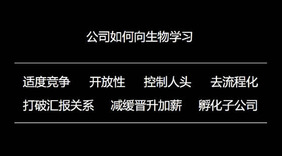 王小川談企業(yè)成長(cháng)：從蝴蝶效應到六爻八卦